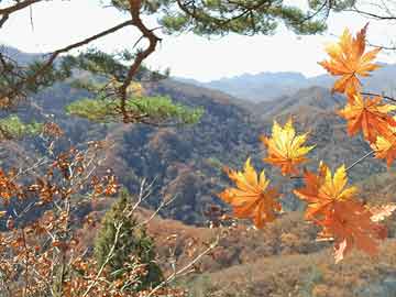 韩国最新电影，引领亚洲影视潮流的新动力标杆